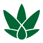 EcoBeas - Stevia y Aloe Vera en Beas