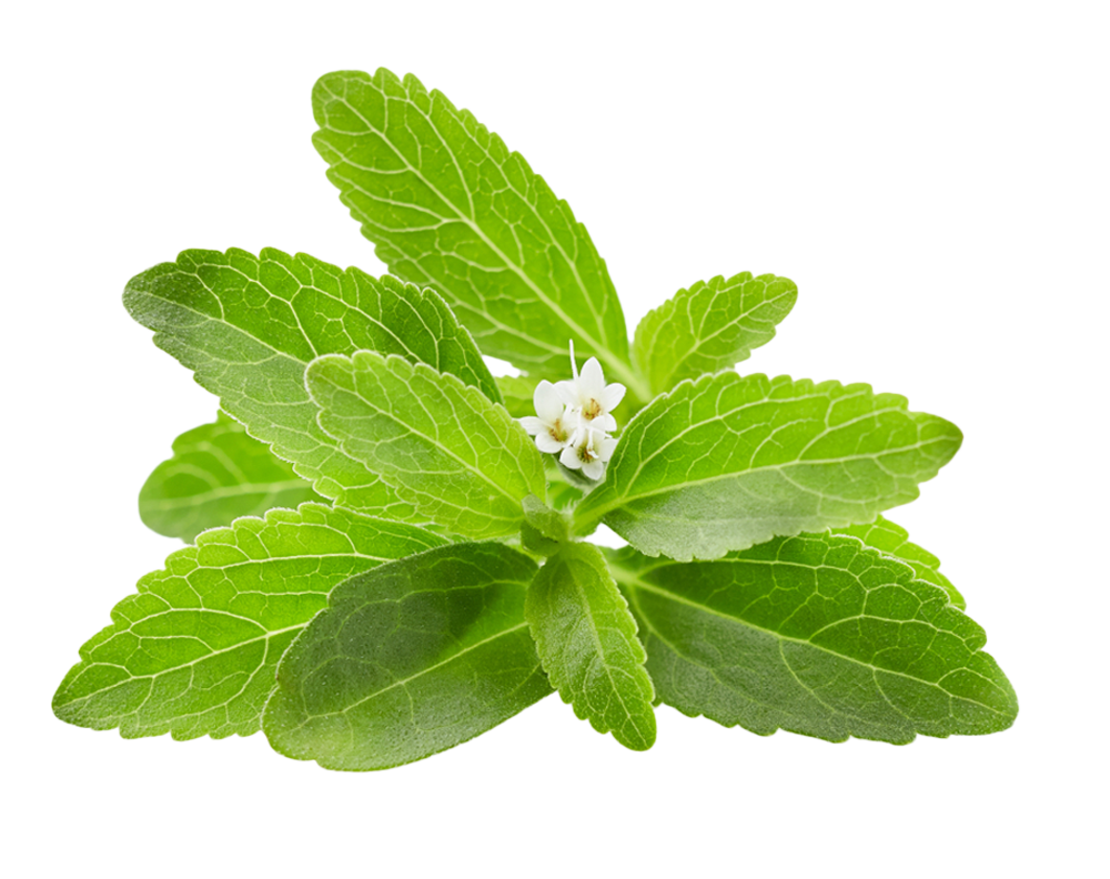 stevia-ecobeas